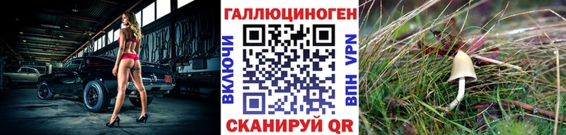 гидра как зайти Мосальск Псилоцибиновые грибы прущие грибы