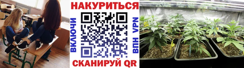 Канабис MAZAR  купить  сайты  Мосальск 